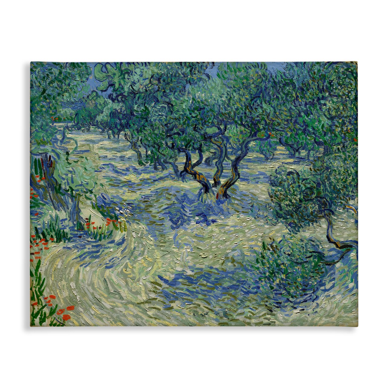 Stupell Industries Classic Van Gogh Olive Orchard Canvas Wall Art Design by one1000paintings